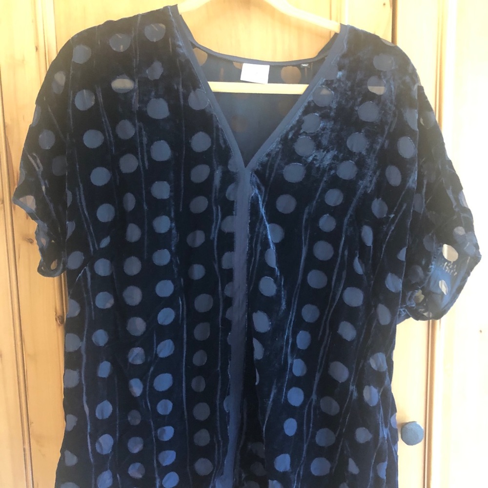 Blue velvet burnout top
